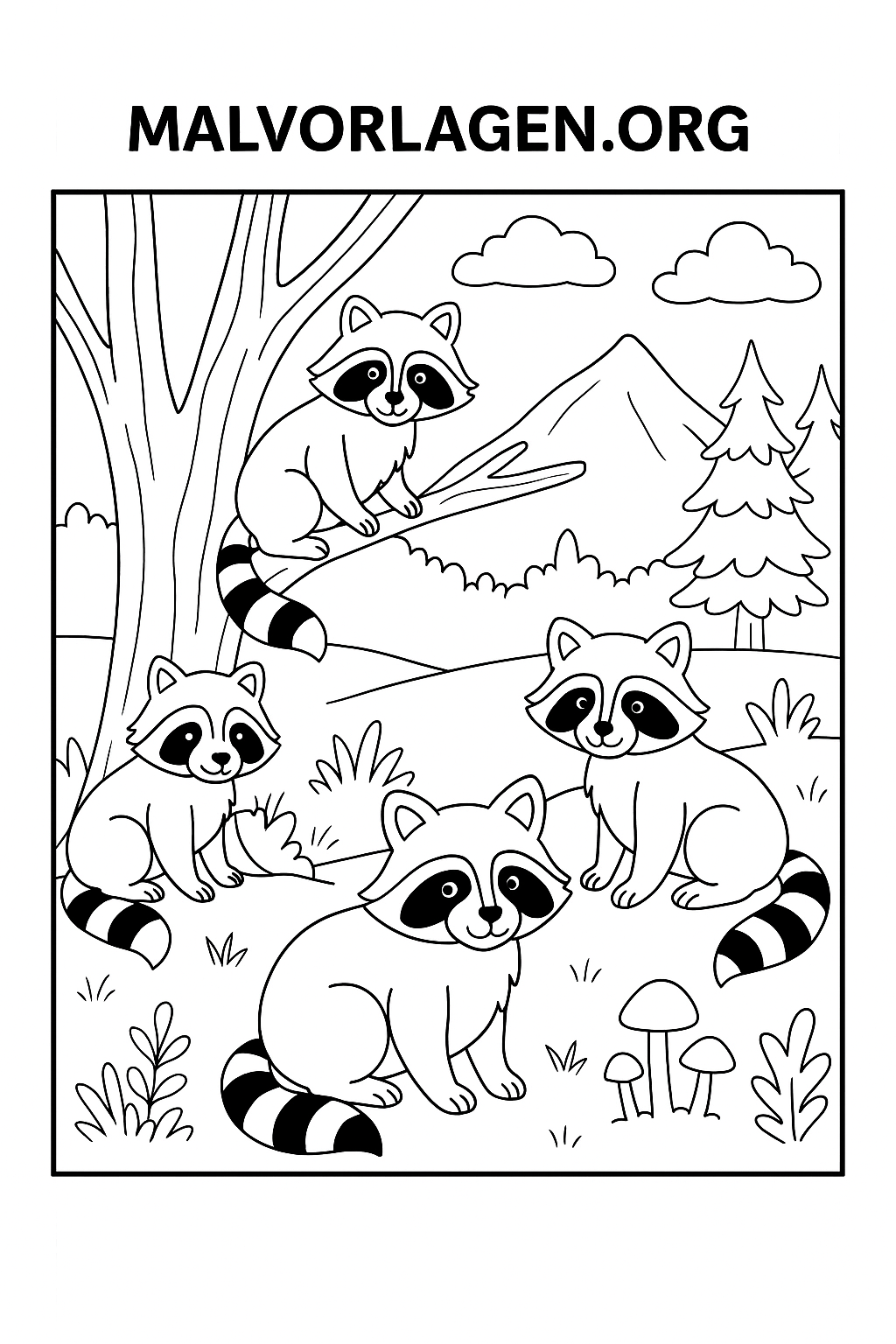 Waschbären